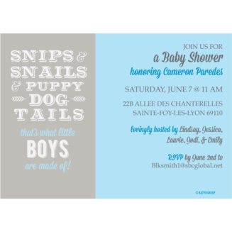 Snips Snails and Puppy Dog Tails Shower Invitation