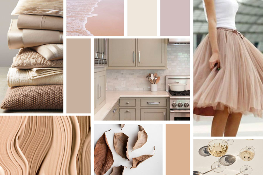 Inspiration for the color beige