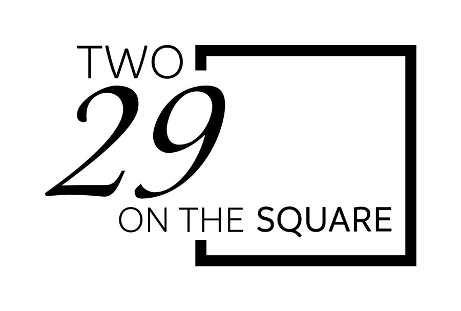 Two29-Logo-in-Black