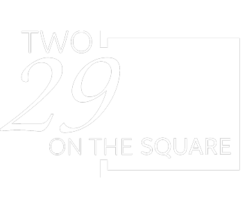 Two29-Logo-in-White